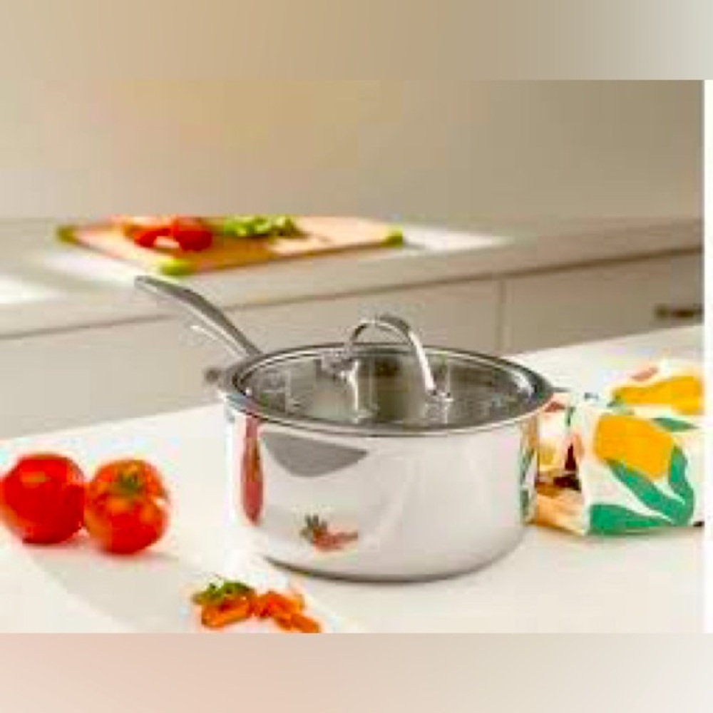 Princess House stainless steel classic 3qt sauce pan